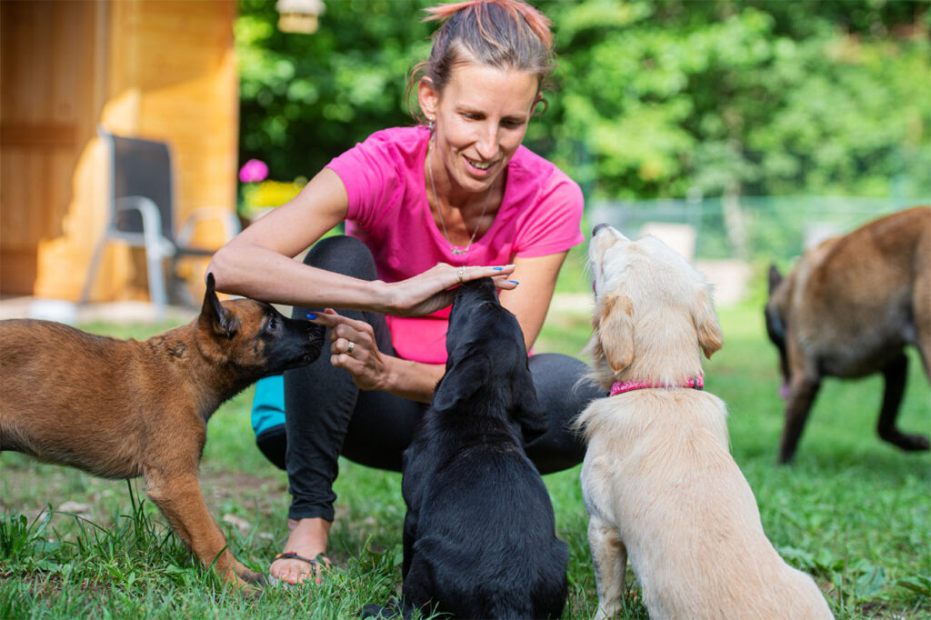 train your puppy