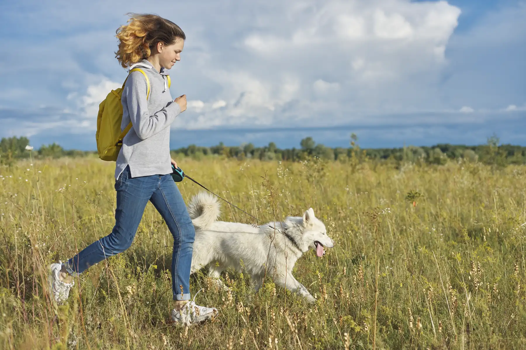 Canicross Dog Training
